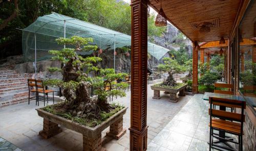 Trang An View Poit Homestay - 정원