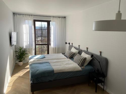 . APARTAMENT OVOC 2.0