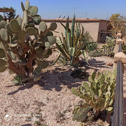 Hotels Image