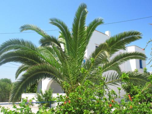 Exterior view, Mavromatis Studios in Naxos Island