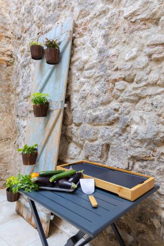 Jardin Secret Studio Terrasse Panier Vieux-Port Marseille, Marsella (foto 3)