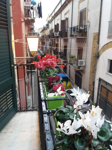 Casa vacanza Sole di Sicilia, Palermo (fotografie 6)