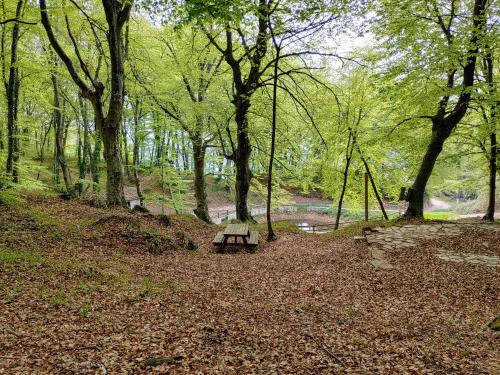 Umgebung, Locazione Turistica Arcobaleno "Appartamento Superior" in Roccavivara