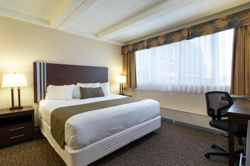 1 queen bed