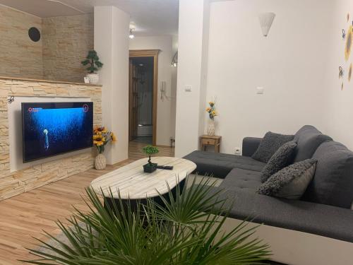 Κοινόχρηστο σαλόνι/χώρος τηλεόρασης, Apartmán Slunečnice s terasou (Apartman Slunecnice s terasou) in Ceske Budejovice 4