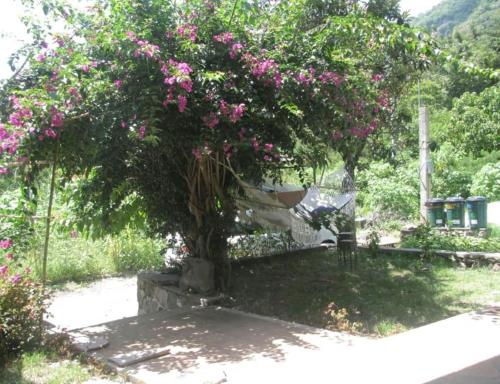 Casa BuenAventura - Cozy country cottage with wooden ceilings and stone walls within nature reserve