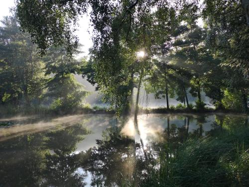 Ferienhaus am Badesee Schönsee Bungalow 12 (Ferienhaus am Badesee Schonsee Bungalow 12) in 伯恩斯豪森