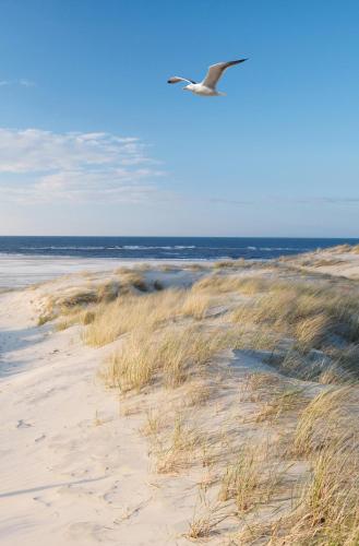 SEA YOU Hotel Noordwijk - image 9