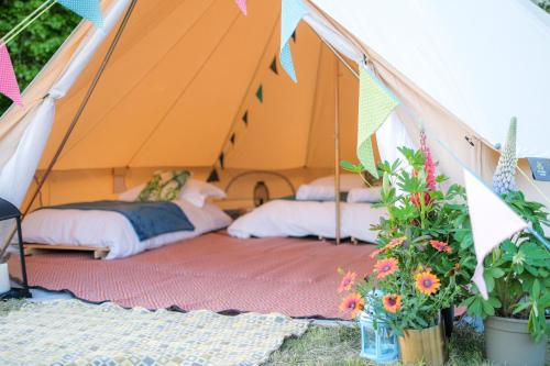 . Glamping near Hay Festival