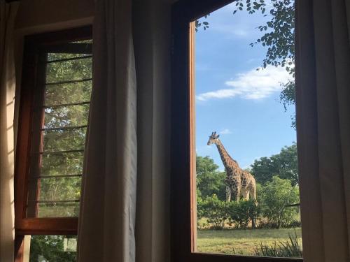 Mkhiweni Villa at Dombeya Wildlife Estate