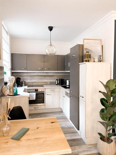 New Deluxe Studio Apartment in quiet back house, Dresden (photo 8)