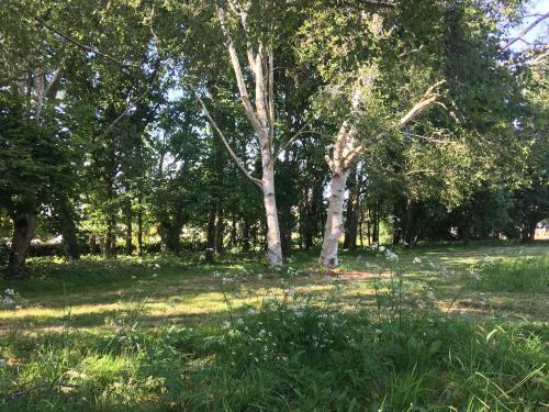 外部景觀, Maison dans la prairie in 普里安