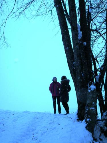 Hof Wieser in 帕特爾加森