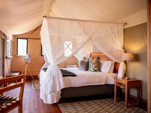 Hideaways Mankwe Tented Retreat, Greater Moremi in Chiro Pan