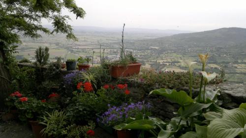 Casa Mia A Cortona- Ideale per Smart Working - image 8