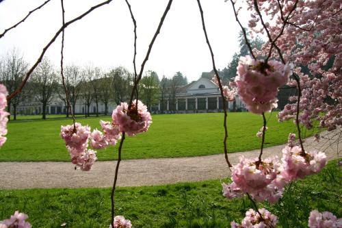 Apparthaus Pfeifer - image 7