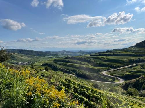 Weingut & Straußwirtschaft Vogel Weingut & Straußwirtschaft Vogel