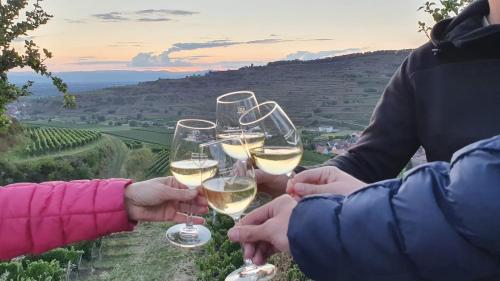 Weingut & Straußwirtschaft Vogel Weingut & Straußwirtschaft Vogel