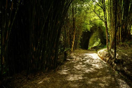 346027556 Talamanca Nature Reserve