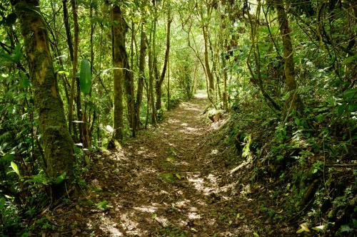 346027634 Talamanca Nature Reserve