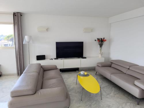 CANNES Superbe appartement vue mer panoramique