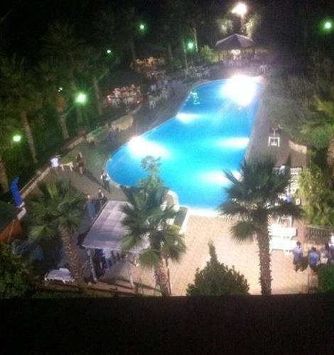 Hotel Miami - image 14