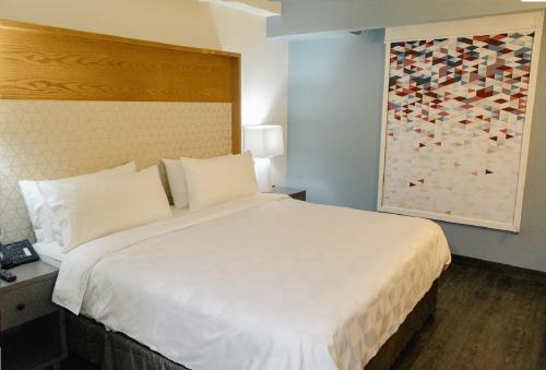 Holiday Inn URUAPAN Room Type - 1 King Standard
