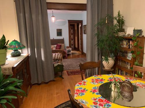 Bizzaro Apartment - image 13