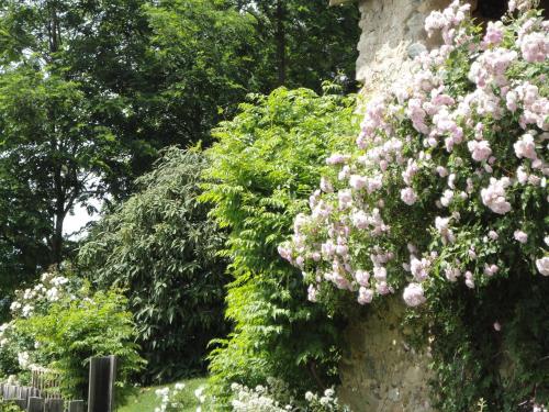 Un Gite de Charme en Haute Provence