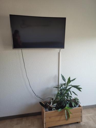 Mickten Hertz, Dresden (photo 6)