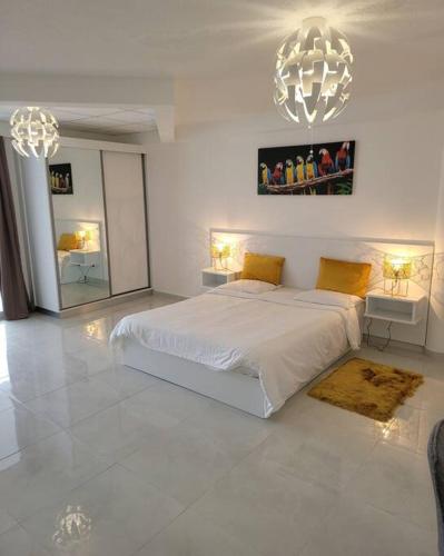 Hello Guyane (4), Suite Junior Luxury, 5 étoiles, Cayenne