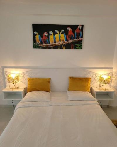 Hello Guyane (4), Suite Junior Luxury, 5 étoiles, Cayenne (foto 10)