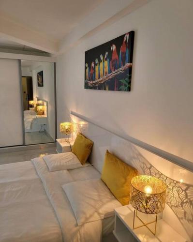 Hello Guyane (4), Suite Junior Luxury, 5 étoiles, Cayenne (foto 5)