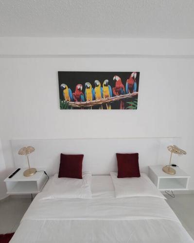 Hello Guyane, Suite Collection (5), 5 étoiles., Cayenne (foto 4)