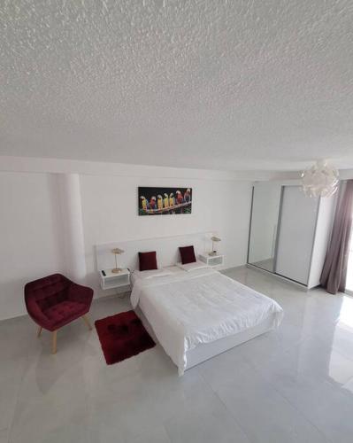 Hello Guyane, Suite Collection (5), 5 étoiles., Cayenne (foto 9)