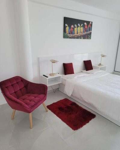 Hello Guyane, Suite Collection (5), 5 étoiles., Cayenne (foto 7)