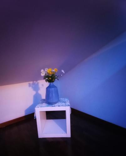 Stella del Sud - image 3