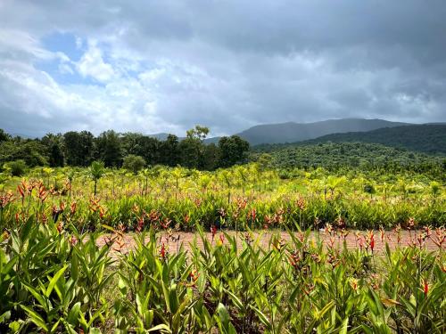 The Postcard Hideaway, Netravali Wildlife Sanctuary, Goa in South Goa