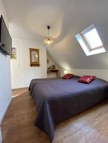 L'Ours de Colmar - Appartements en centre ville
