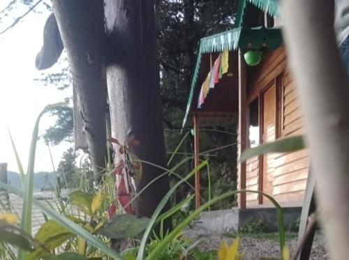 Bluepine Cottages Pangot photo