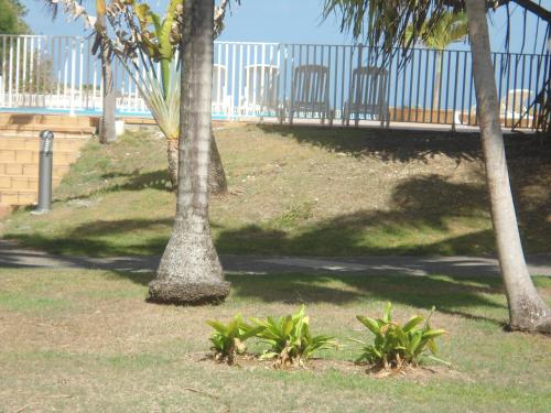 Apartment with Pool View  room in Studio Corail Rez de Jardin