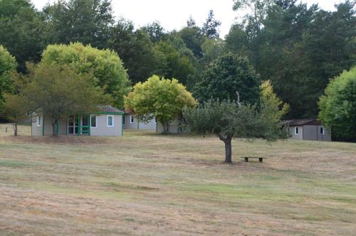 La Forêt Enchantée