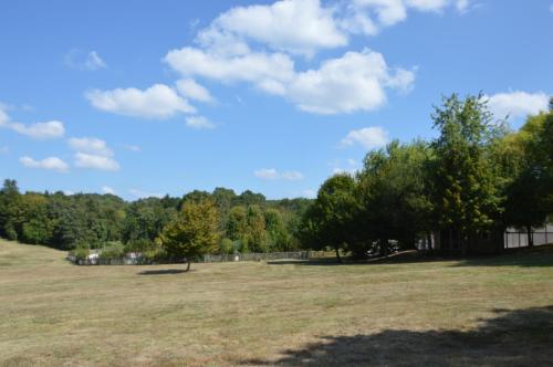 La Forêt Enchantée