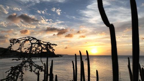 Appartement 2 pièces "Les Ilots de Friar's bay" - Location saisonnière - Friar's Bay