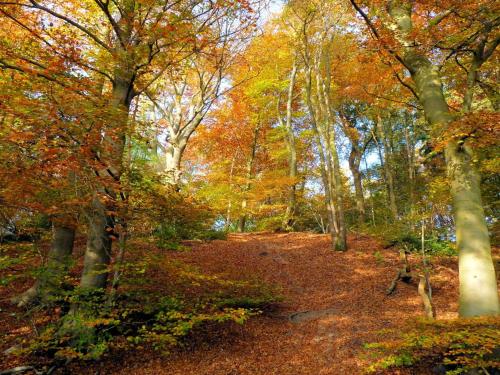 Holiday Home in Mook with Garden Holiday Home in Mook with Garden