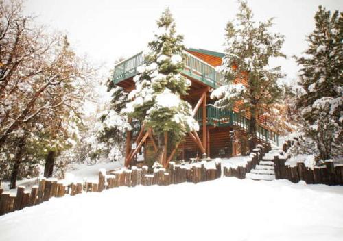 Wolf View Lodge - main image