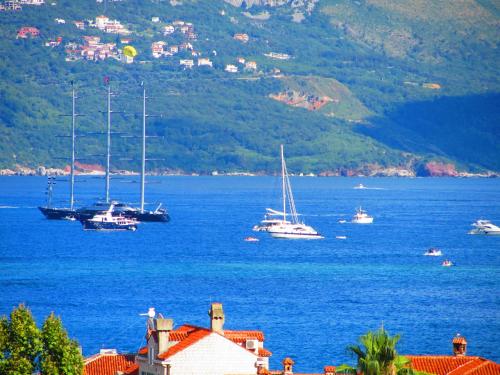 Apartments and Rooms Teona - image 5