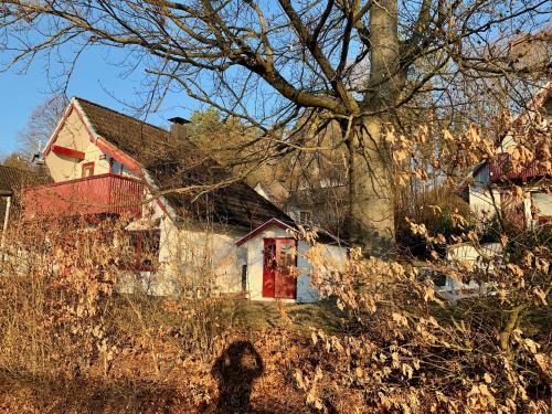 Idylle Seepark - Haus mit Pool und Fasssauna