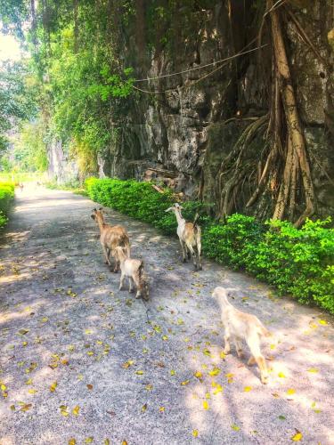 塔姆科克大自然山林小屋 塔姆科克大自然山林小屋