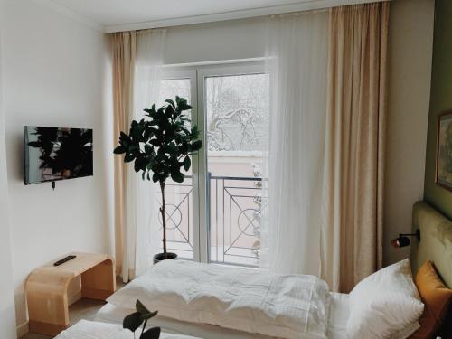 . Anna apartment